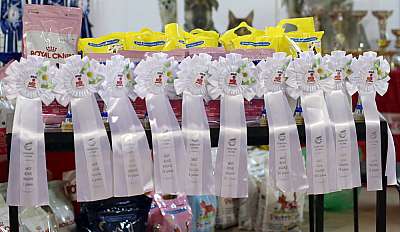 �������� ����� '���-�����-������' 22-23 ������ 2014 169A8103 copy.jpg